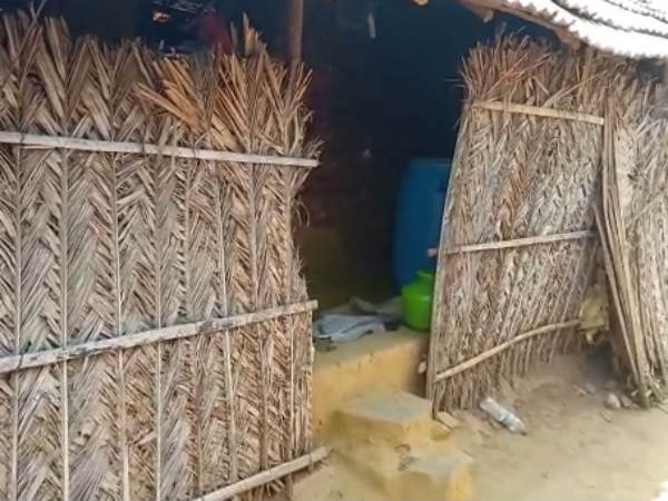 பாட்டியை பார்க்க பாட்டியை பார்க்க