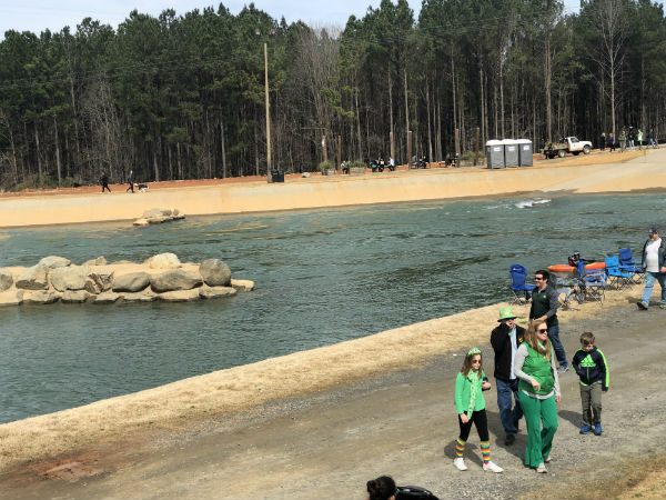 பச்சை வண்ணம் பூசி 