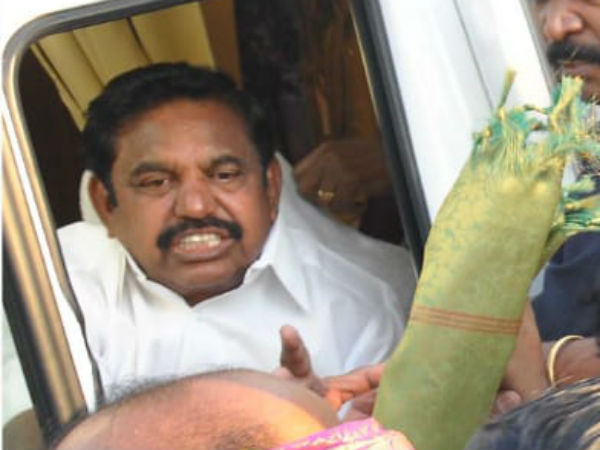  பச்சோந்திகள்