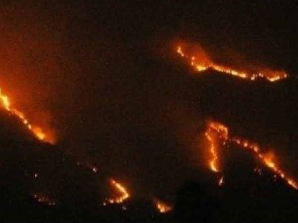 Forest fire: Tourist ban in kollimalai Forest fire: Tourist ban in kollimalai