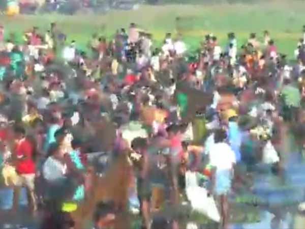 மீன் குஞ்சுகள்