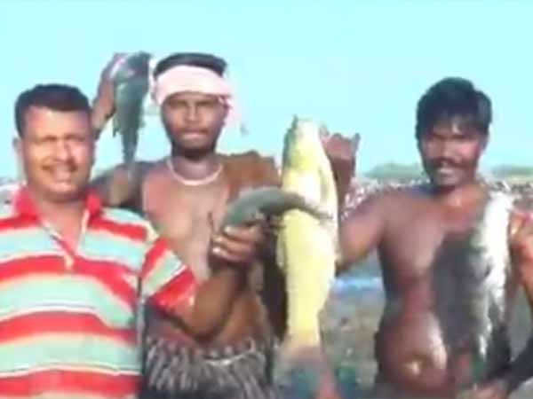 விதம் விதமான மீன்கள்