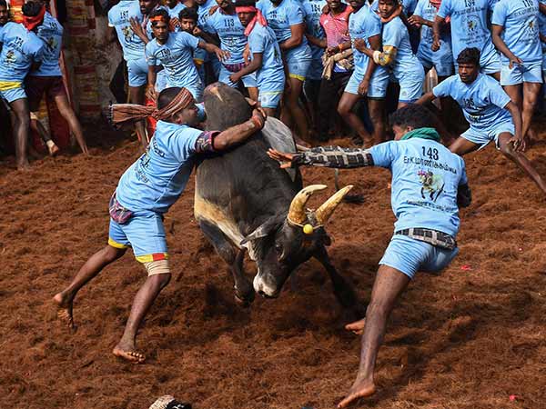 போலீஸ் பாதுகாப்பு 