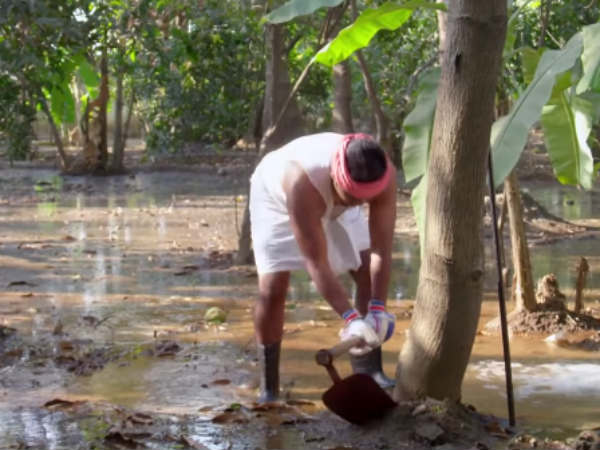 கன்னி பையன் கன்னி பையன்