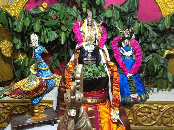 விஷத்தை விழுங்கிய சிவன்