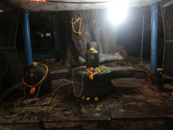 நிலம் ஸ்தலம் காஞ்சி நிலம் ஸ்தலம் காஞ்சி