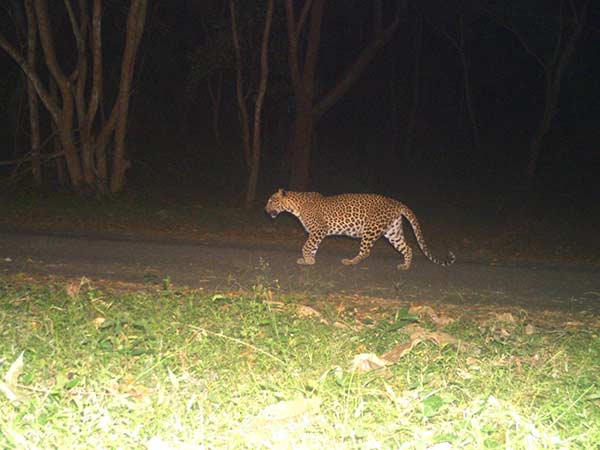 அருவிக்கு செல்லக்கூடாது