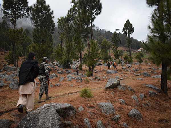 Indo - Pak crisis and new worlds dimensions