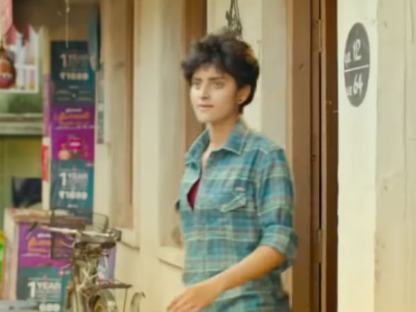 தக்காளி, குருவி 