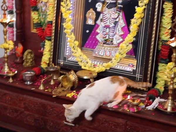 விளக்கு கவிழ 