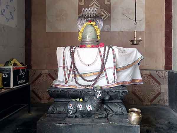 சிவ தரிசனம் சிவ தரிசனம்
