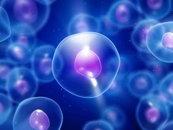 ஸ்டெம்செல் சிகிச்சை