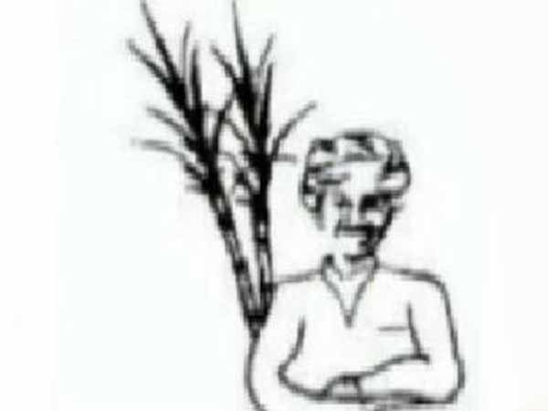 கரும்பு விவசாயி 