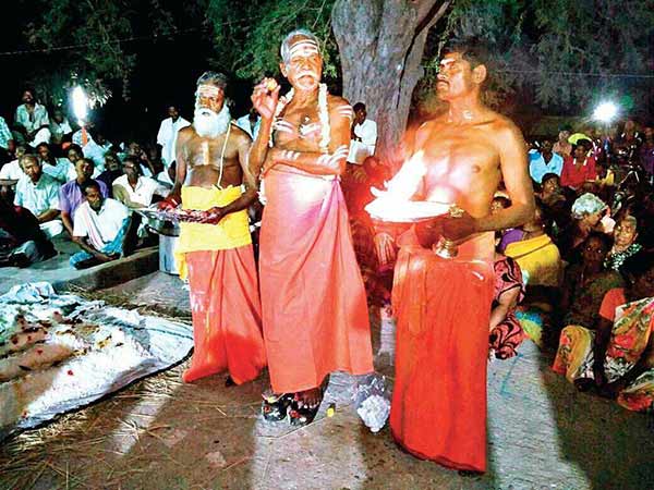 temple lemons auctioned for rs 1 lakhs