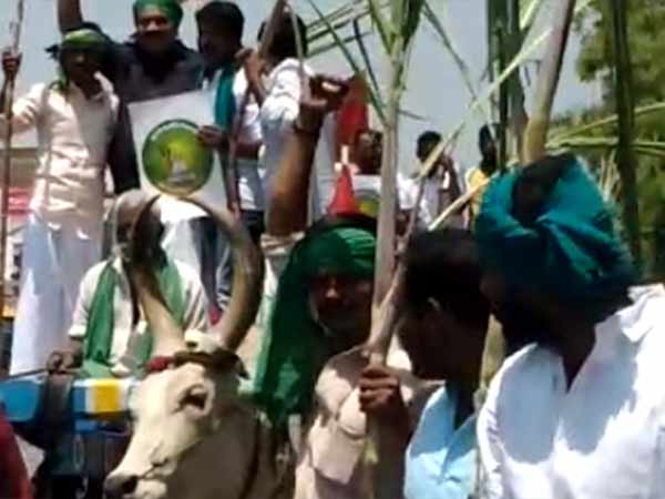 கட்சி கொடி 
