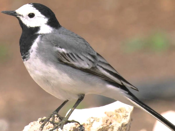 பரிகாரம் உண்டு