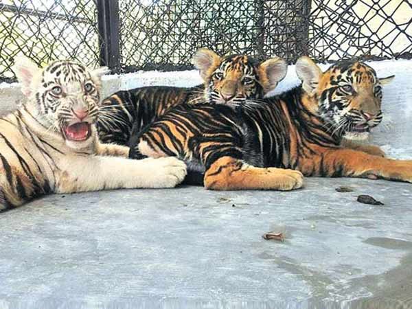 மறக்க முடியாத அனுபவம் 