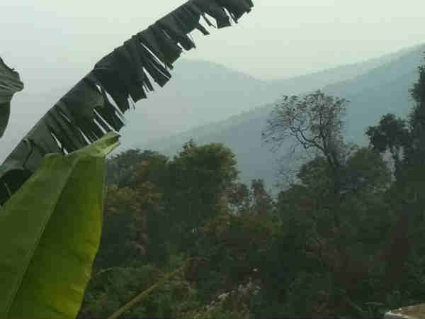 பெட்ரோல் பங்க் 