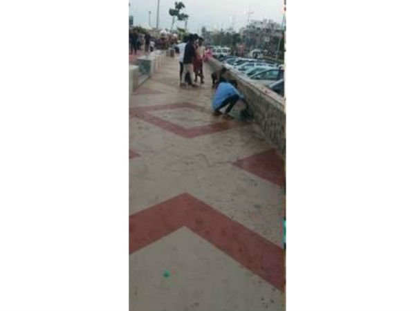 துடைப்பக்கட்டை 