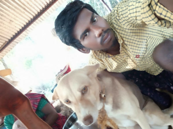 The dog bite and kill a snake and saves owners life 