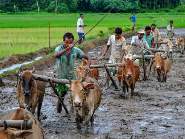 வனத்தில் ஆய்வு வனத்தில் ஆய்வு