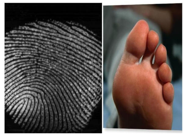 வாழ்க்கையை நிர்ணயிக்கும் கோடுகள் வாழ்க்கையை நிர்ணயிக்கும் கோடுகள்