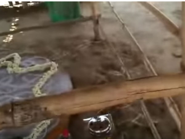 சாமியார் ஆலோசனை 