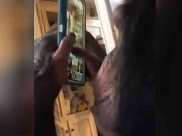 இணையத்தில் வைரல்: