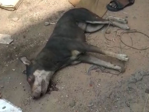 மாவட்ட செய்தியாளர் சுதன்... 