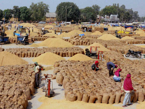 Farmers requested to protect paddy Bundles from the storm 