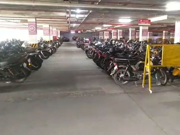 நெய்தல் 