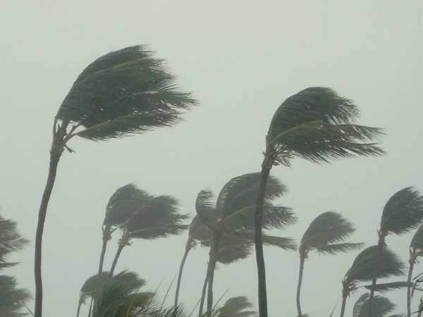 என்ன வாய்ப்பு 