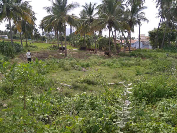  நிலம் அளவீடு 