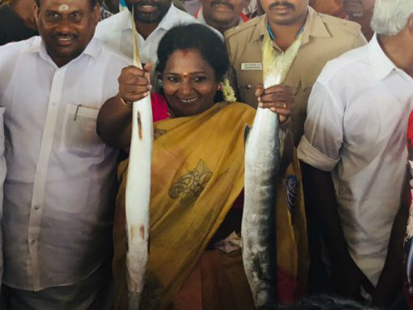 முத்தமழை 