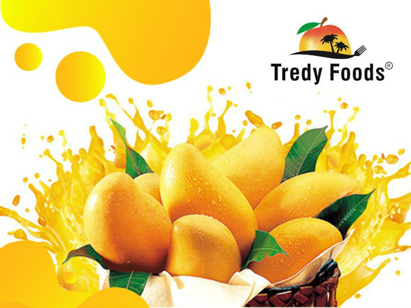 Tredyfoods.com gives you a variety of mangoes for this summer season Tredyfoods.com gives you a variety of mangoes for this summer season