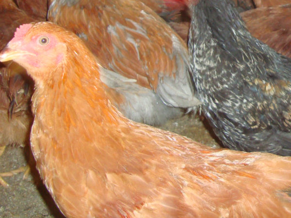 ஏராளமானோர் குவிந்தனர் 