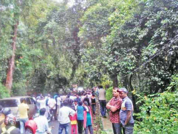 கொட்டுகிறது மழை 