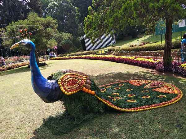 61st Fruit Exhibition had started in Coonoor Sims Park today 