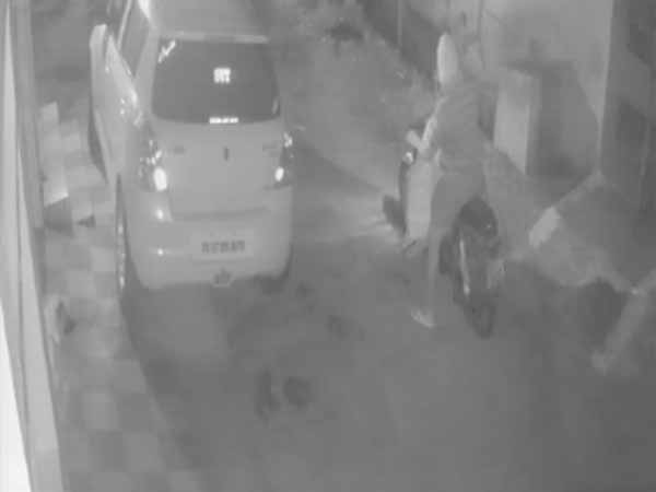 குரைத்த நாய்கள் குரைத்த நாய்கள்