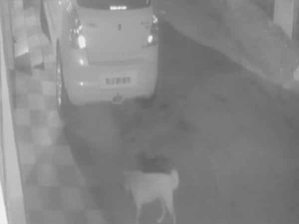 சிசிடிவி காட்சிகள் சிசிடிவி காட்சிகள்