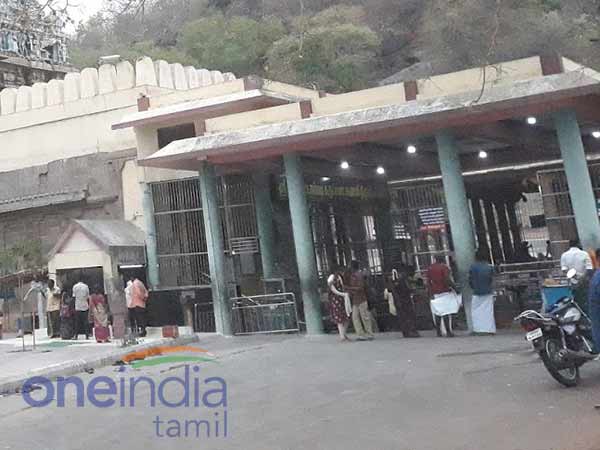 மூலிகை நிறைந்த காற்று