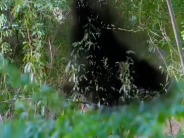 சமாதானம் 