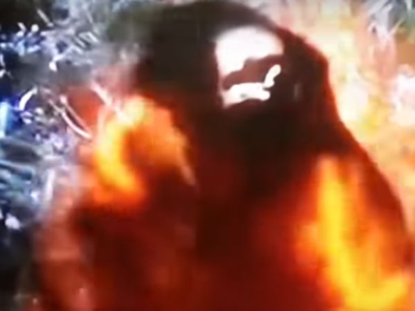 பேய் ஆவி 