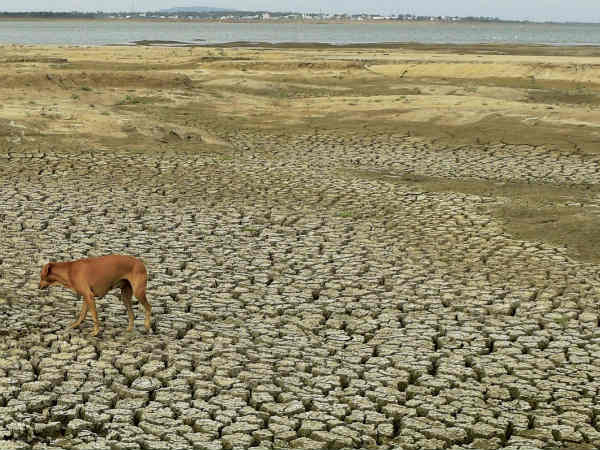 ஏரிகளில் தண்ணீர் 