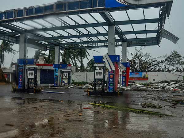 விலங்குகள் சரணாலயம் 