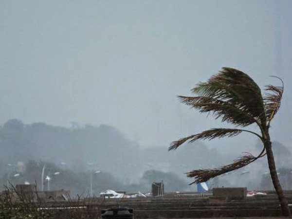 உயிரிழப்புகள் அதிகரிப்பு உயிரிழப்புகள் அதிகரிப்பு