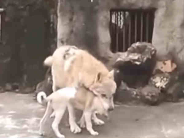 கலாய்க்கும் நெட்டிசன்கள்: