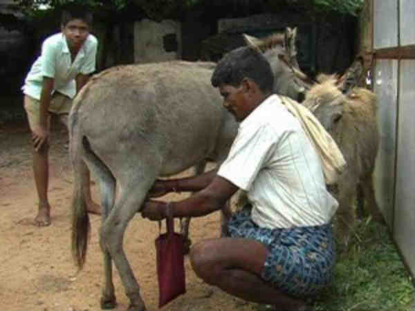 அமோக வரவேற்பு அமோக வரவேற்பு