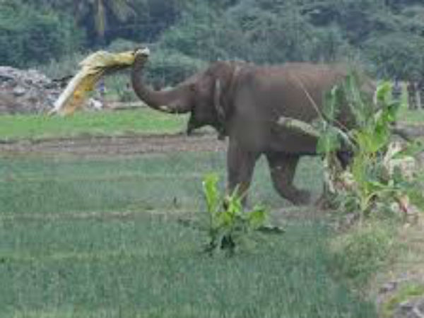 வதந்தியை நம்பாதீர் வதந்தியை நம்பாதீர்