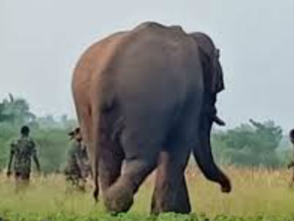 சமூகவலைதளங்கள் சமூகவலைதளங்கள்